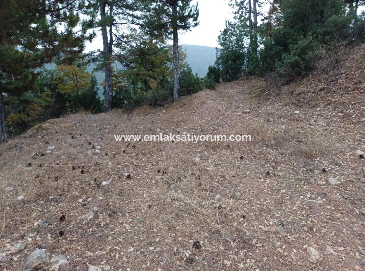 1 900 M2 Detached Bargain Land For Sale In Burdur Gölhisar Yeşildere