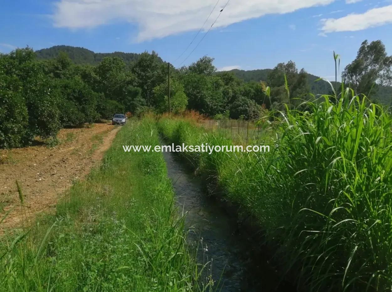 Farm For Sale In Köyceğiz Beyoba Bargain