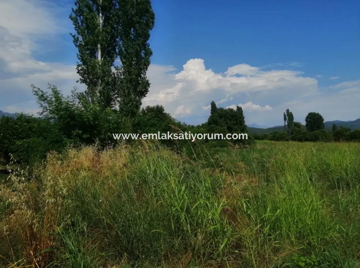 Farm For Sale In Köyceğiz Beyoba Bargain