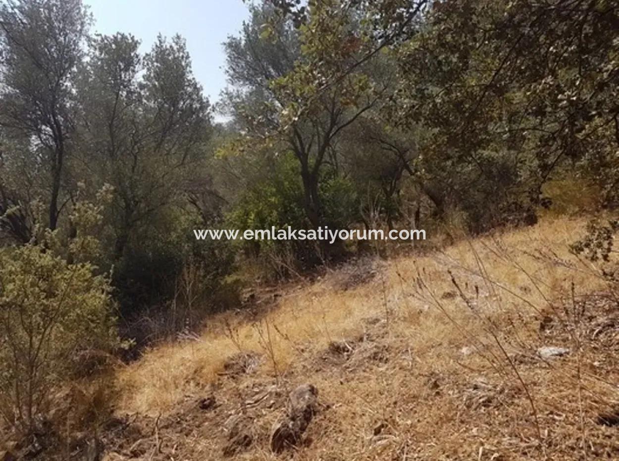 Excellent Plot For Sale Bargain