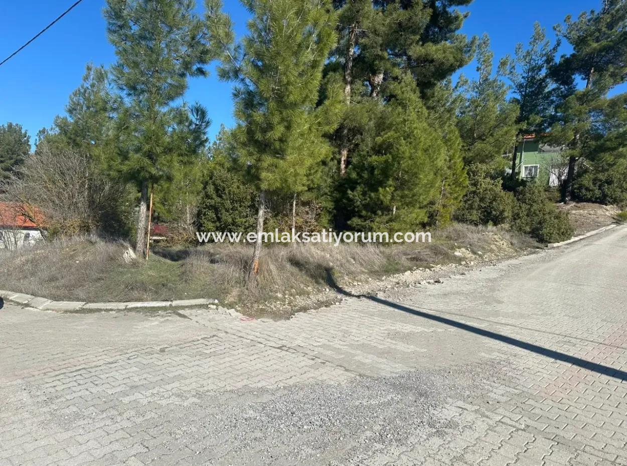 455 M2, 250 M2 Land With Construction Rights For Sale In Acıpayam Kelekçi