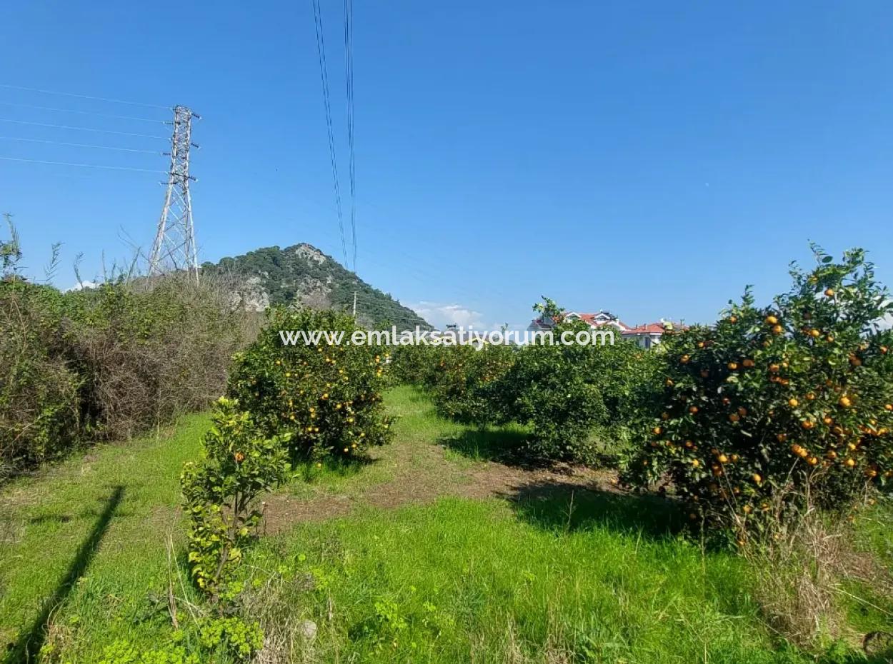 722 M2 Zoned Detached Land For Sale In Dalyan, Muğla