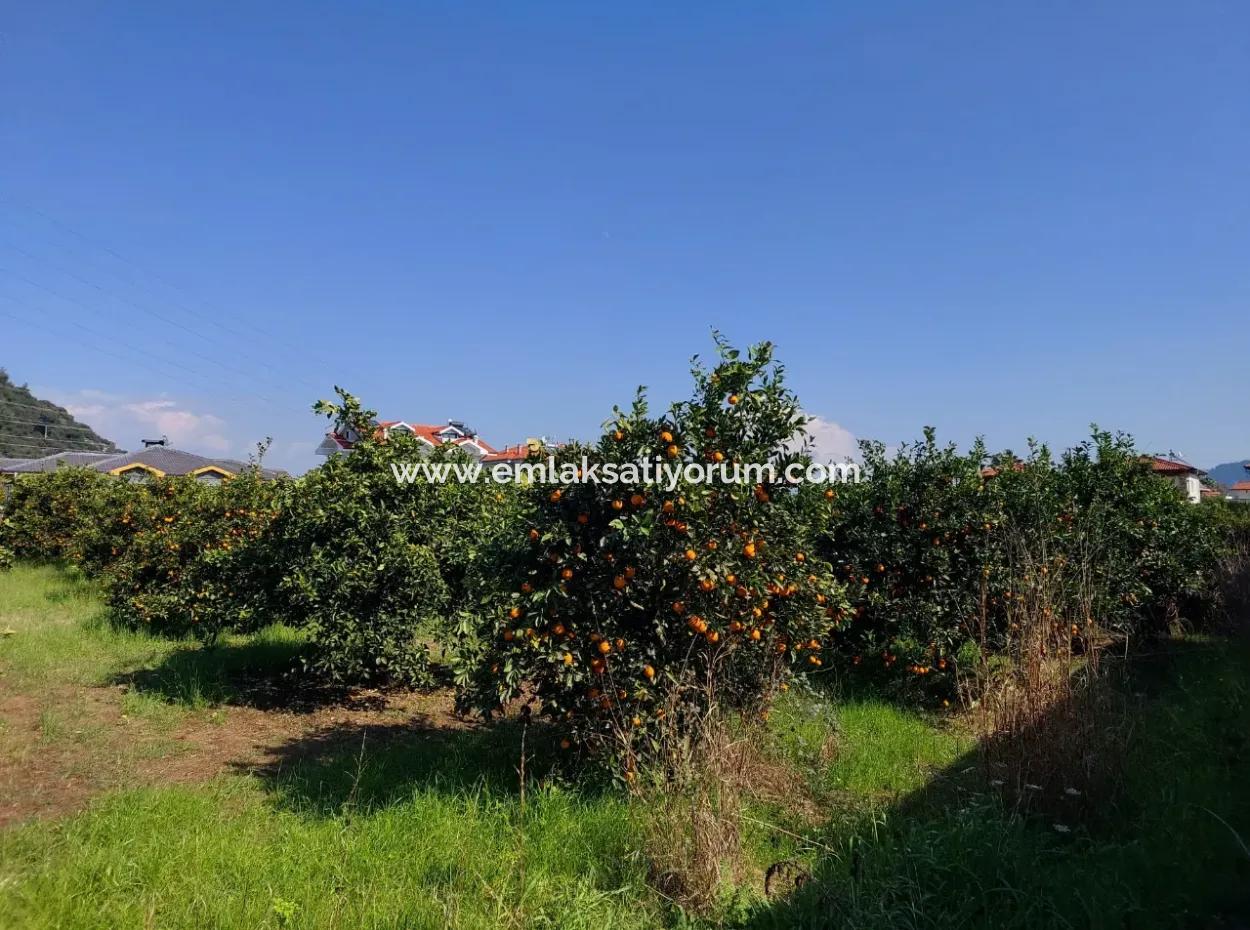 722 M2 Zoned Detached Land For Sale In Dalyan, Muğla