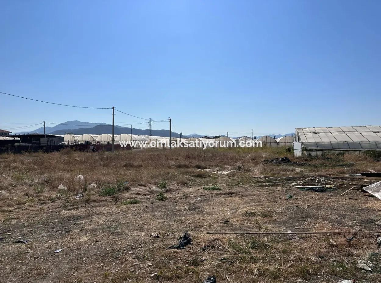 515 M2 Corner Zoned Land In Ortaca Karaburun Urgent Sale Or Exchange