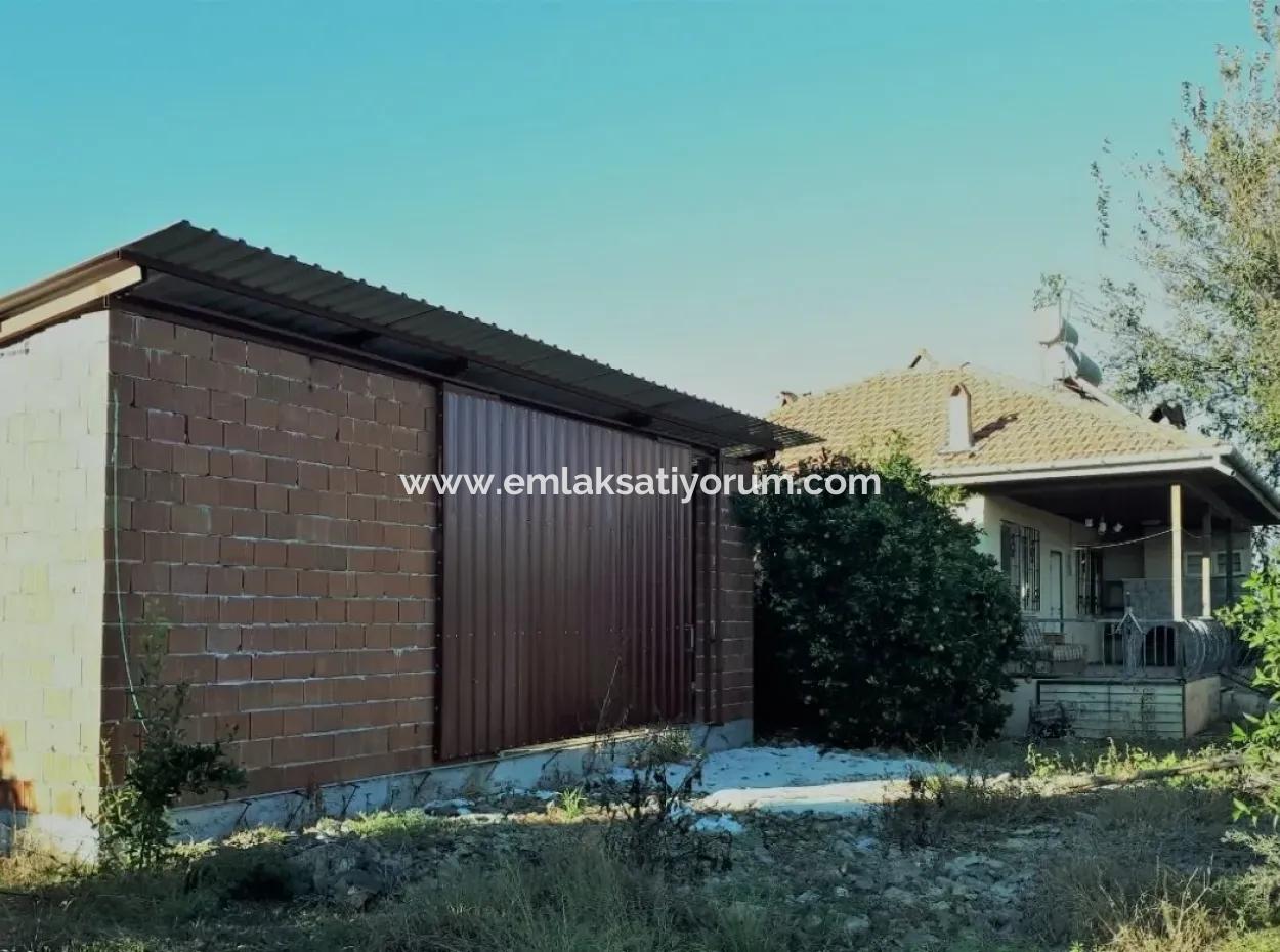 Tepearasi Bargain For Sale In Orange Grove