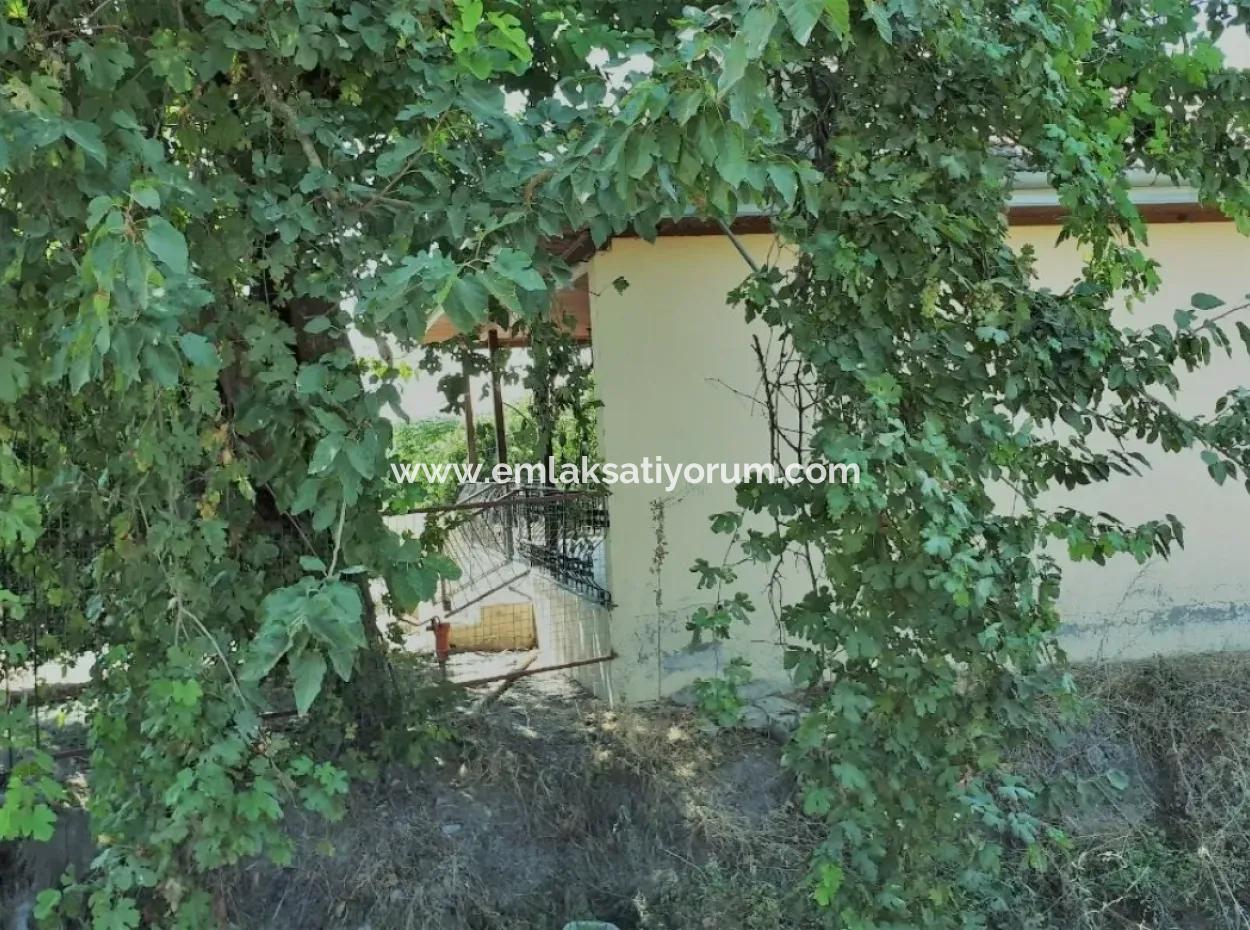 Tepearasi Bargain For Sale In Orange Grove