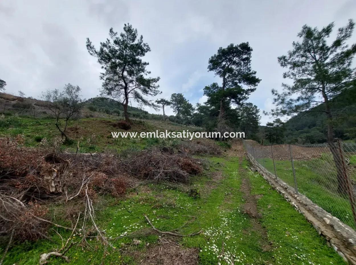Ortaca Gökbelde Detached Nature In 626M2 Land For Sale