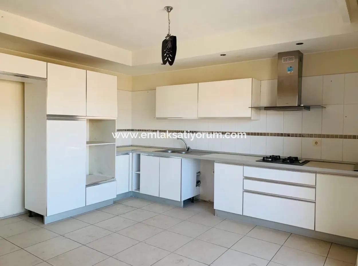 Oriya Rent-A Business Or Apartment