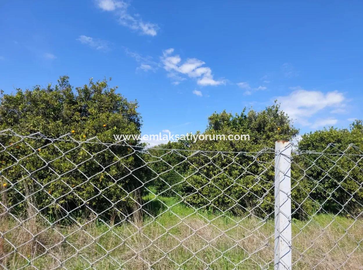 1.500 M² Detached Land With Mountain And Nature View For Sale In Ortaca Marmarlı