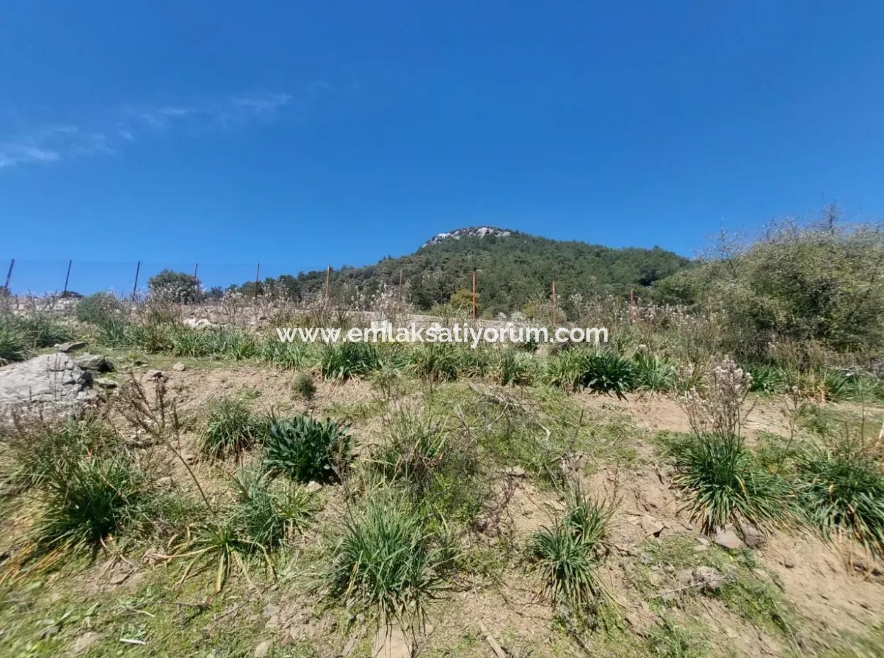 Ortaca Gökbelde Detached 12 132M2 Bargain Land In Nature For Sale