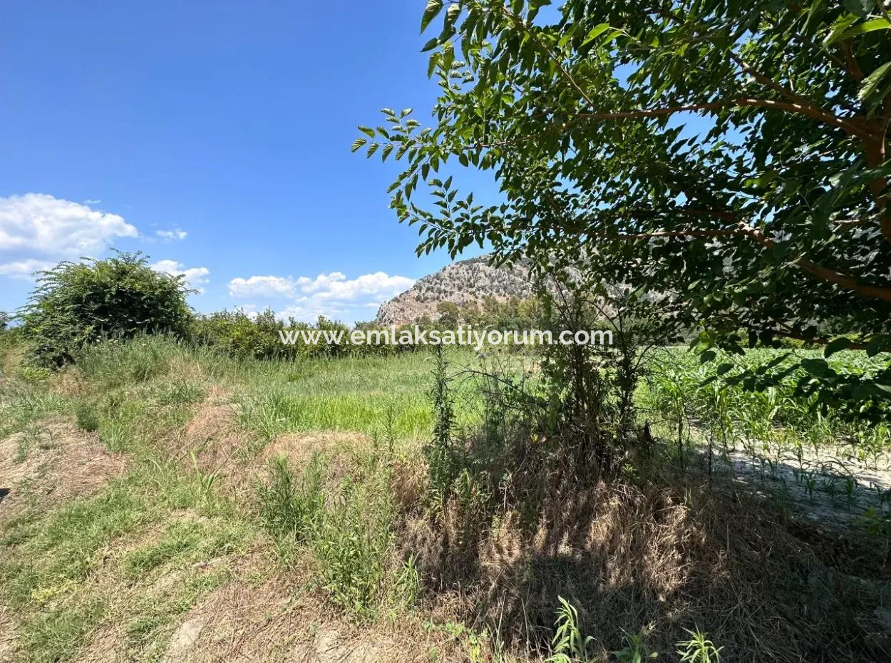 970 M2 Rızai Taksimli Share For Sale In Dalyan