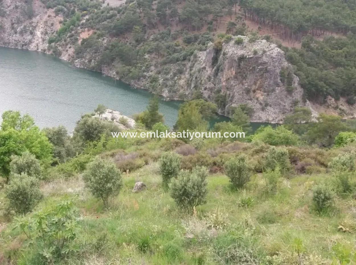 Farmland For Sale In Dalaman Bozbel Also With Views Of The Lake Dam