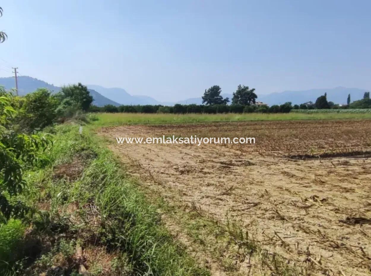 Rızai Taksimli 798 M2 Field For Sale In Muğla Ortaca Fevziye Neighborhood