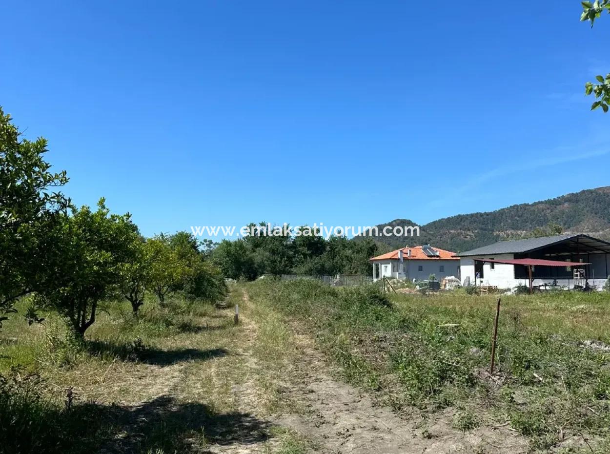 Archers Also For Sale 500 M2