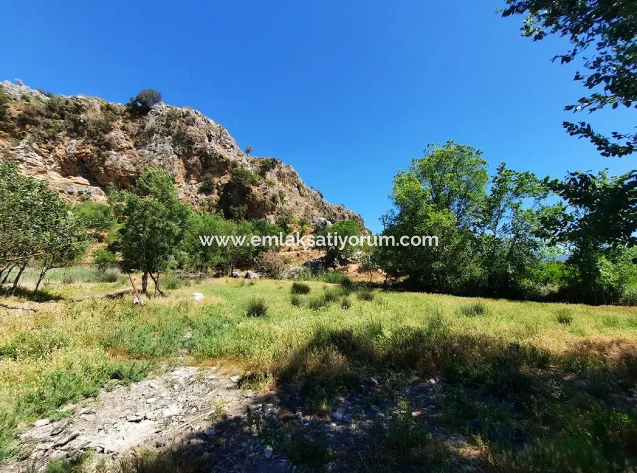 Muğla Ortaca Dalyanda Canal Front 6 500 M2 Land With Title Deed For Sale