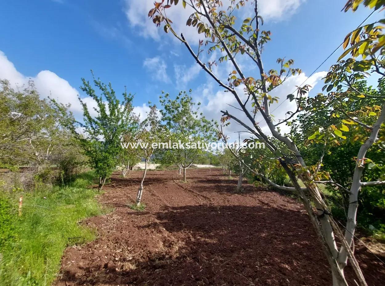 1000 M2 Land In Çameli Kızılyaka, For Sale Or Exchange For 2 1 Apartments In Ortaca