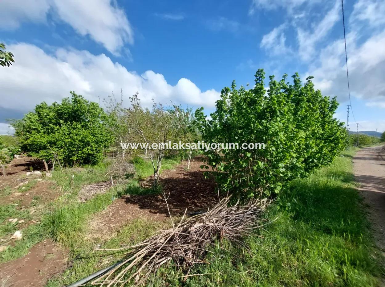 1000 M2 Land In Çameli Kızılyaka, For Sale Or Exchange For 2 1 Apartments In Ortaca