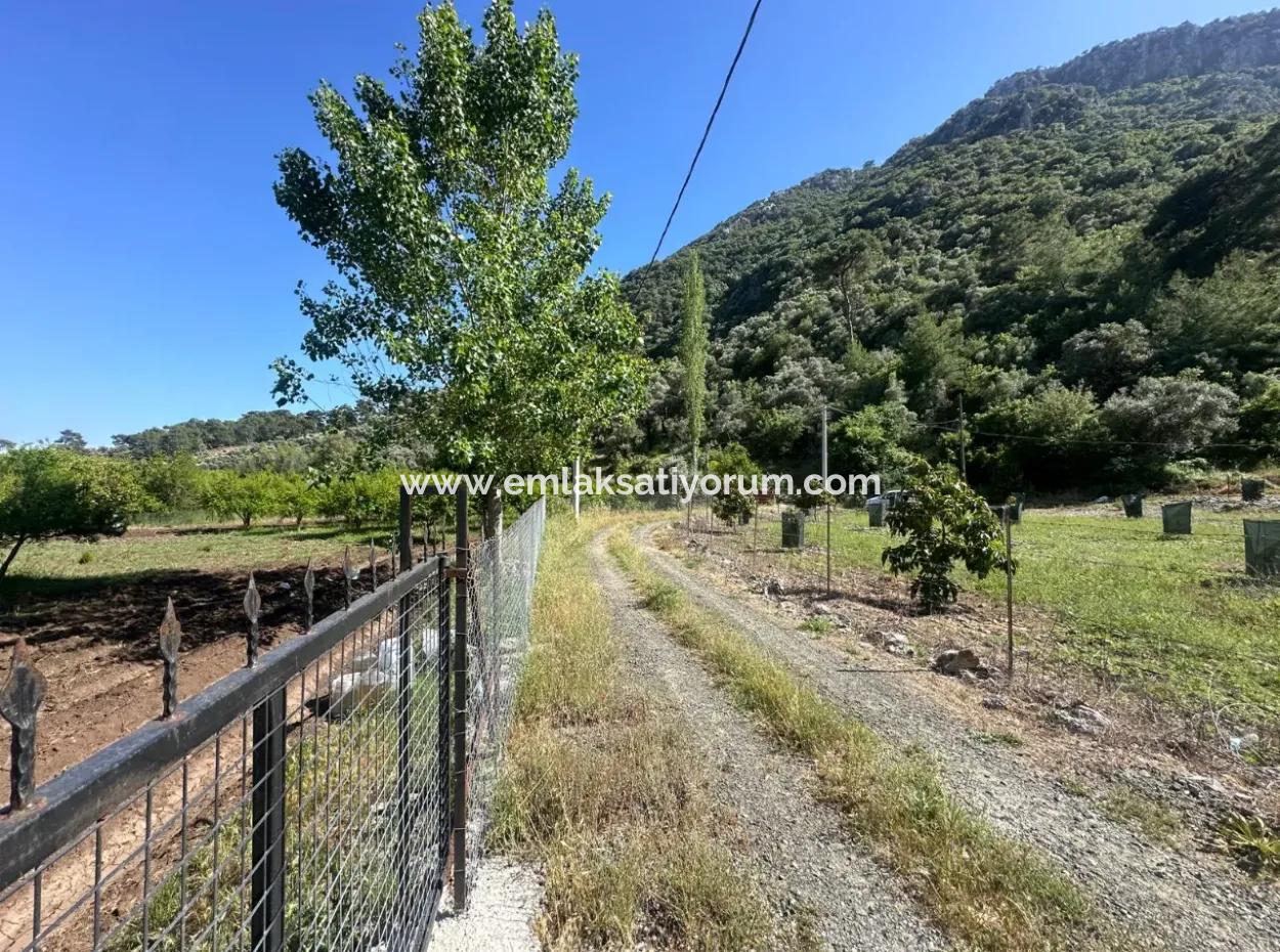 Ortaca Mergenlide Mountain Side, 1 700 M2 Zoned Bargain Land For Sale