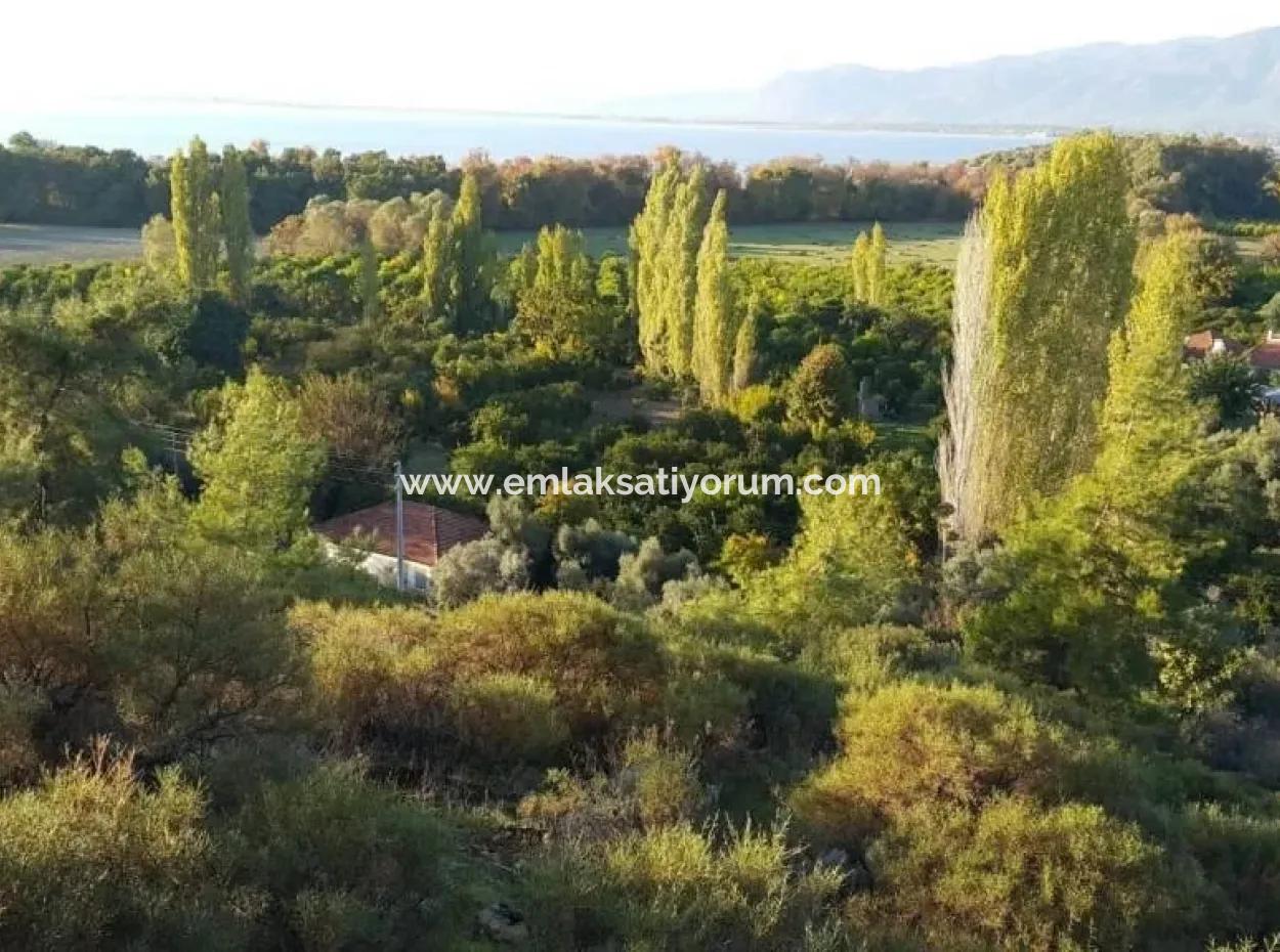 Garden For Sale In Köyceğiz Village
