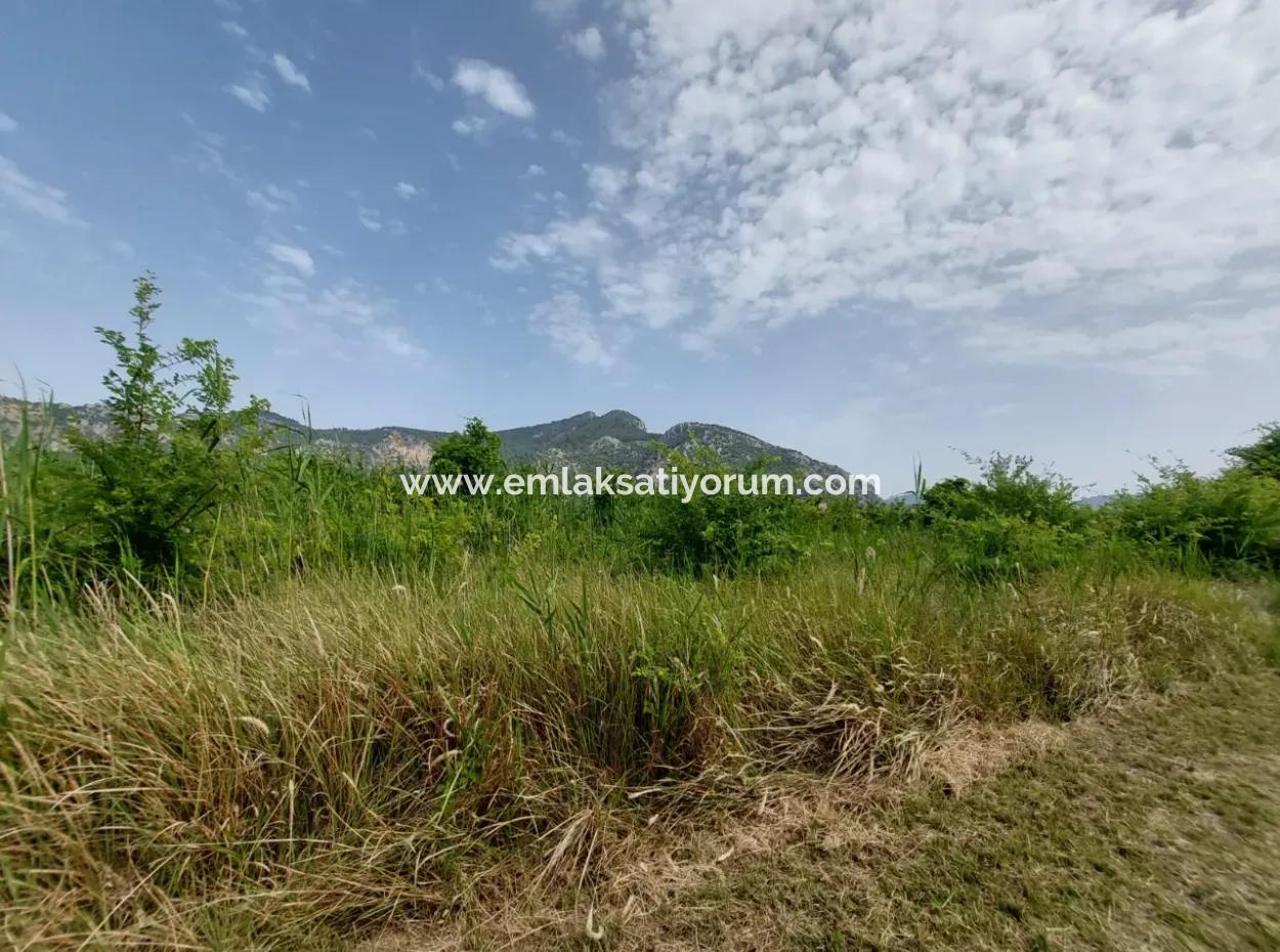 1.500 M2 Detached Field For Sale In Dalyan