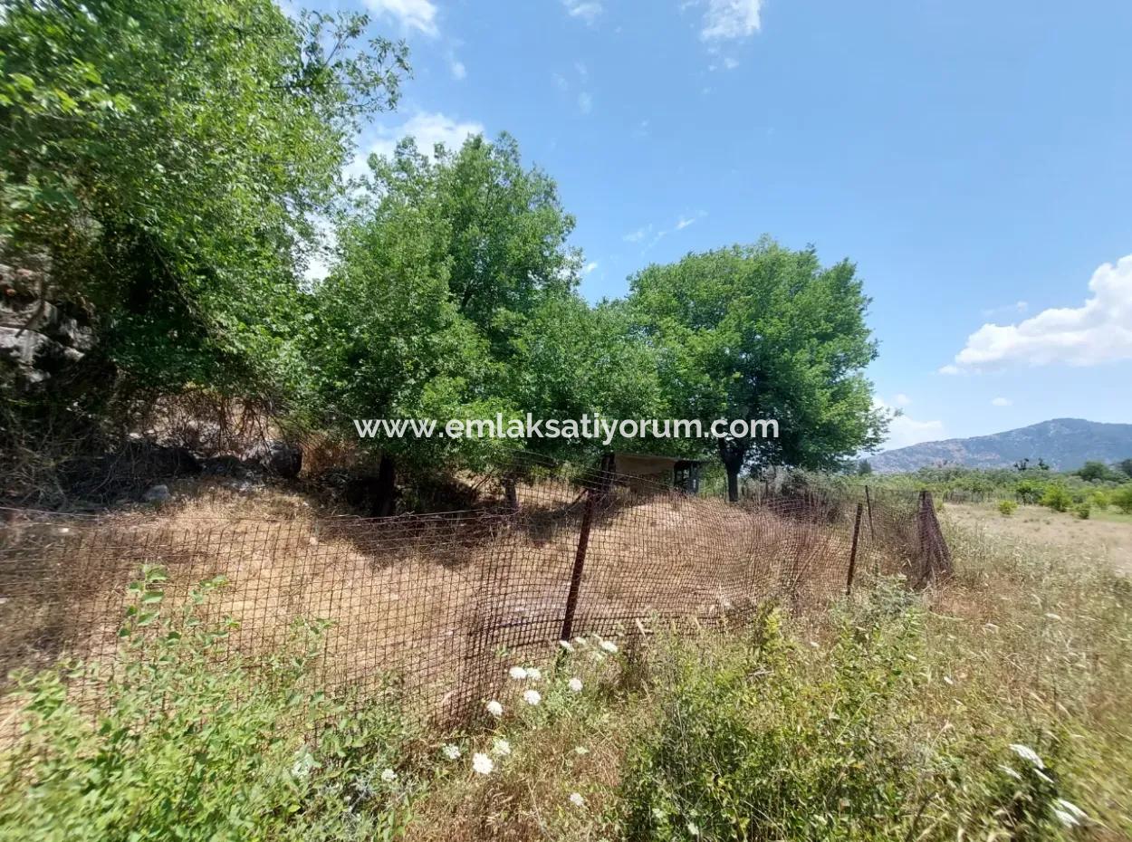 Köyceğiz Çandırda Detached Title Deed 33.800 M2 Field For Sale