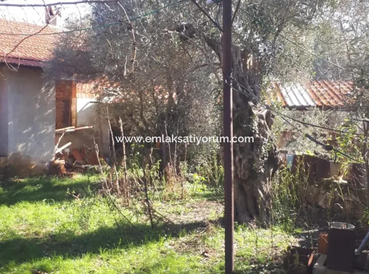 Village House For Sale On 545 M2 Zoned Land In Denizli Kızılağaç