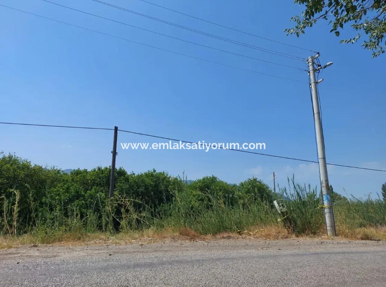 Muğla Ortaca Ekşiliyurtta Roadfront 7.000 M2 Lemon Garden For Sale