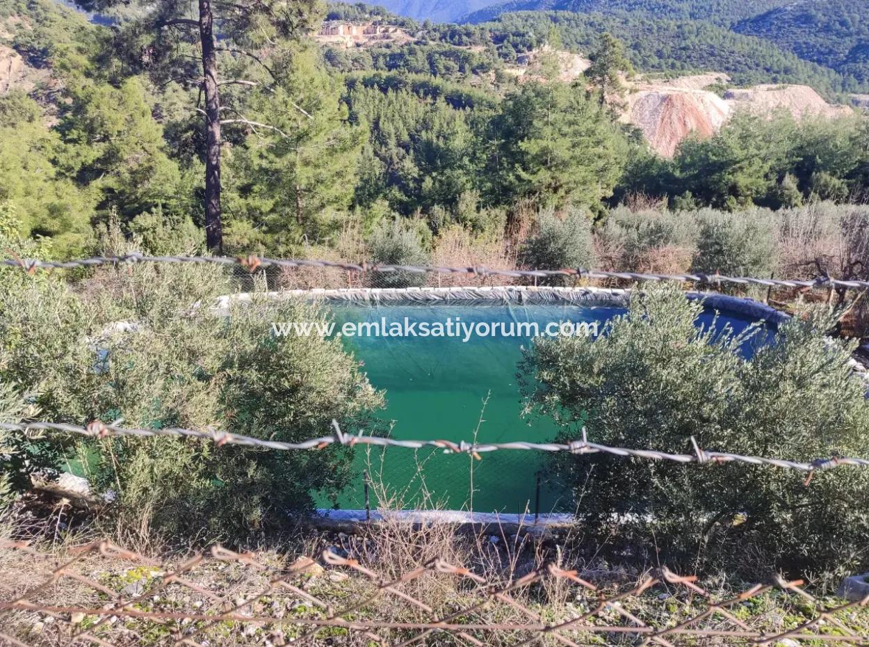 120 M2, 3 1 Single Storey House For Sale On 8500 M2 Land With Sea And Nature View In Antalya Finike Alacadağ
