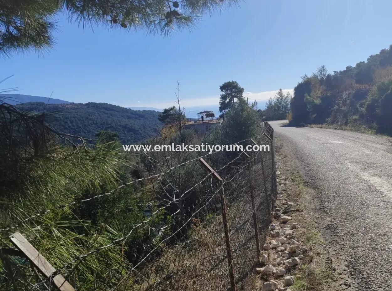 120 M2, 3 1 Single Storey House For Sale On 8500 M2 Land With Sea And Nature View In Antalya Finike Alacadağ