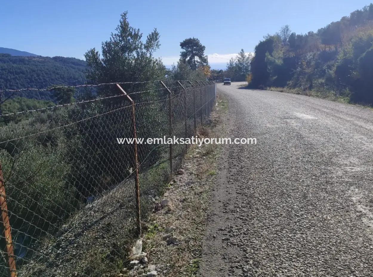 120 M2, 3 1 Single Storey House For Sale On 8500 M2 Land With Sea And Nature View In Antalya Finike Alacadağ