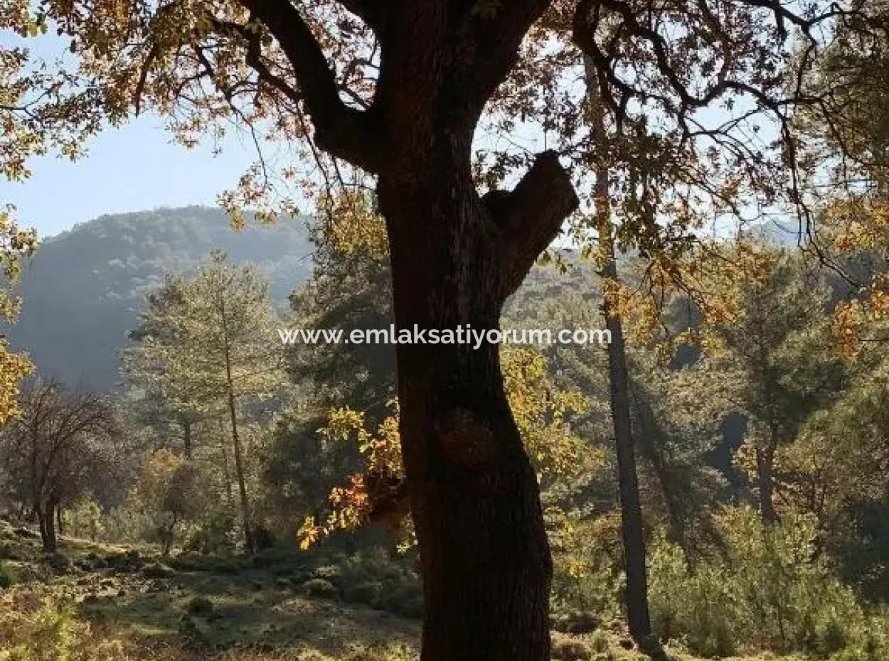 Investment Gocek Land For Sale Suitable For Te