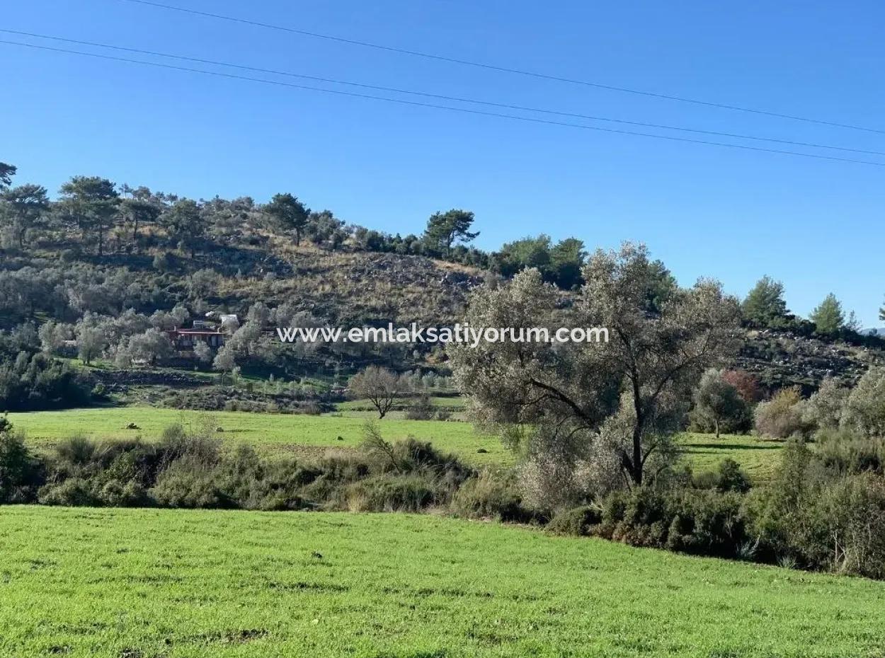 Investment Gocek Land For Sale Suitable For Te