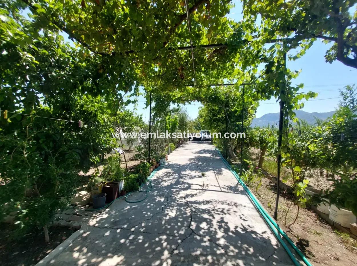 Furnished 2 1, 100 M2 Apartment For Rent In Ortaca Dalyan