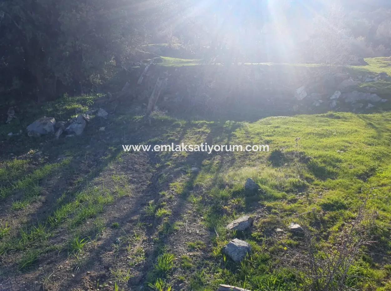 Denizli Çameli Kirazlıyayla Nature View 2 223 M2 Detached Land For Sale