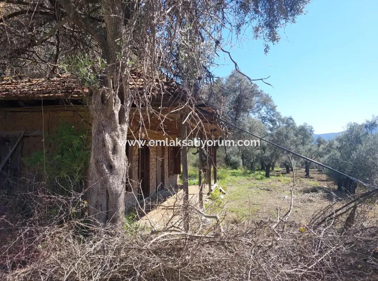 Village House With Lake View And Olive Grove Land For Sale In Köyceğiz Çandır, Muğla