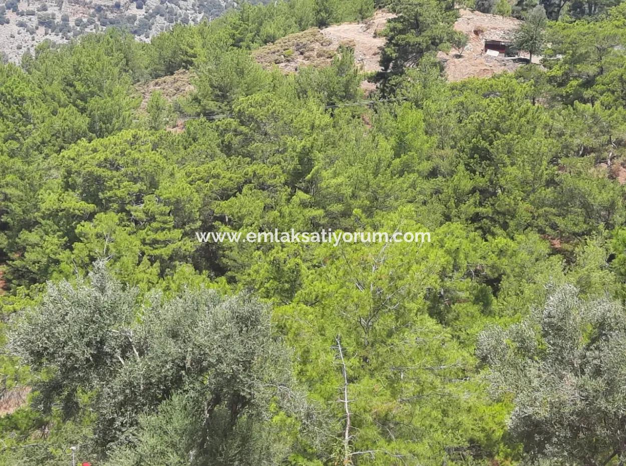 Dalyan Gökbelde Lake And Sea View Detached Title Deed For Sale 82 M2 Land For Sale