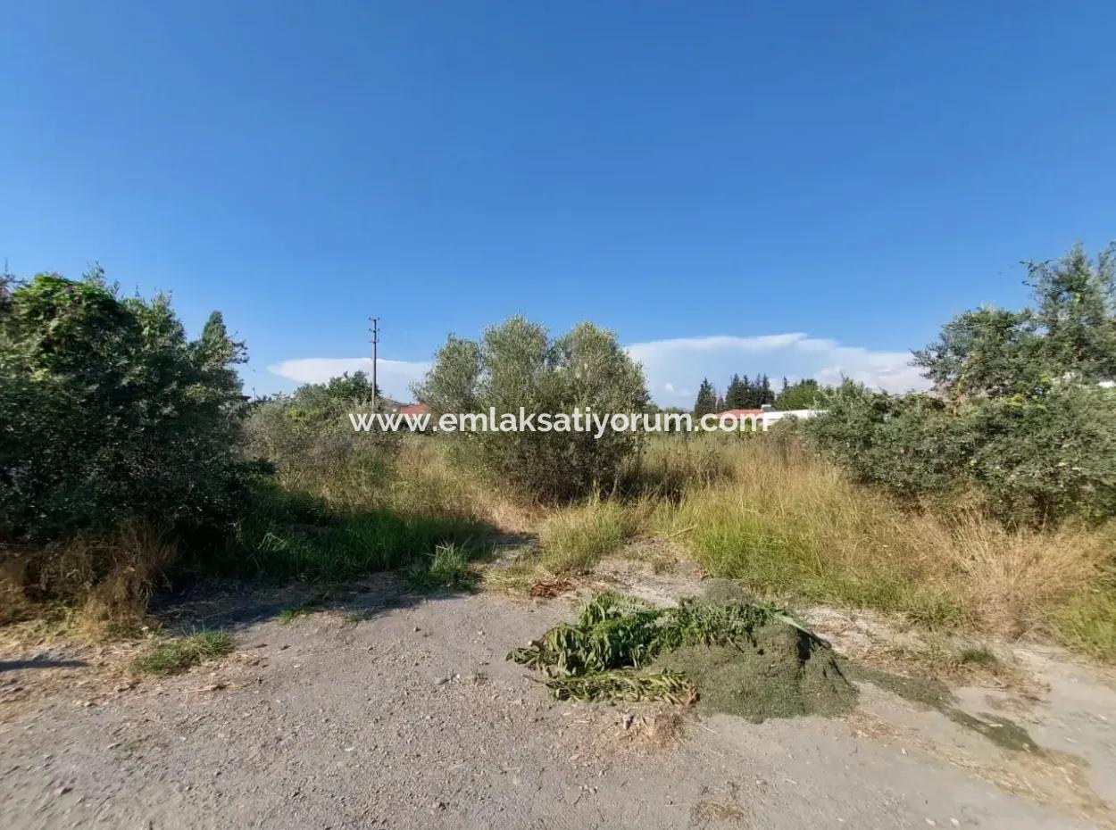Land Zoned In Dalyan Arikbaşi Area For Sale