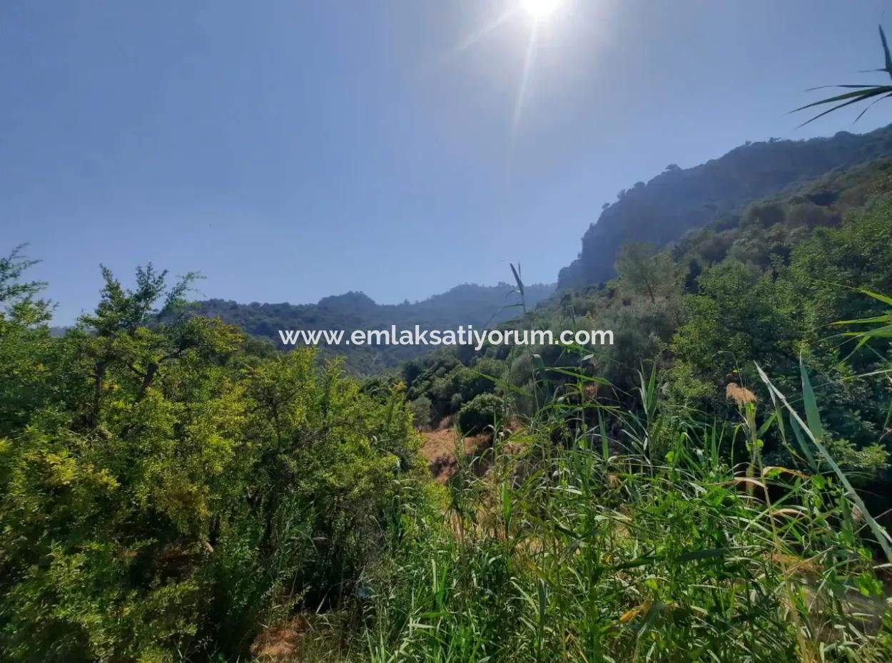 Muğla Dalyanda Mountain Zero, Waterside 10 500 M2 Pomegranate Garden For Sale