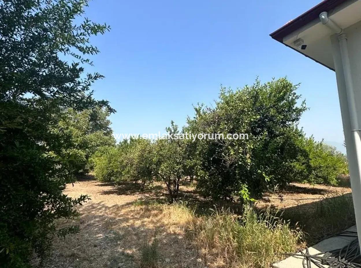 3 1 Furnished Detached House For Rent