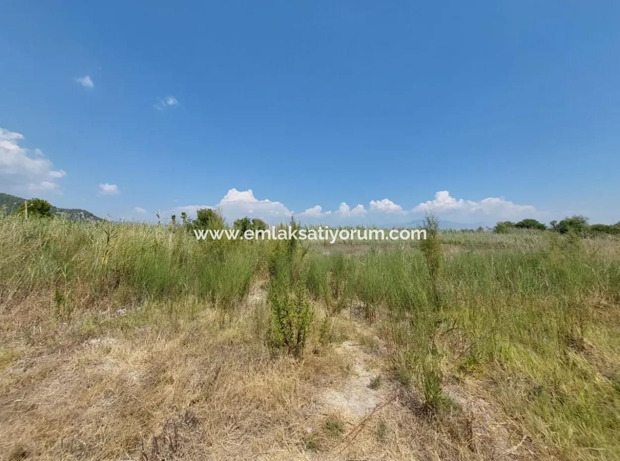Muğla Ortaca Dalyanda 7.353 M2 Detached Land Close To The Canal For Sale