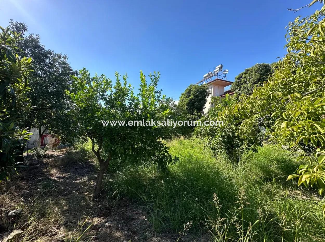 1129 M2 Zoned Land For Sale In Ortaca Dalaklı