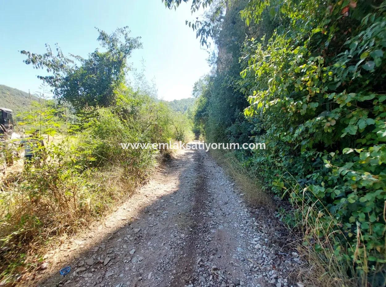 4.427 M2 Fertile Land With Mountain And Nature View In Ortaca Okçular For Sale