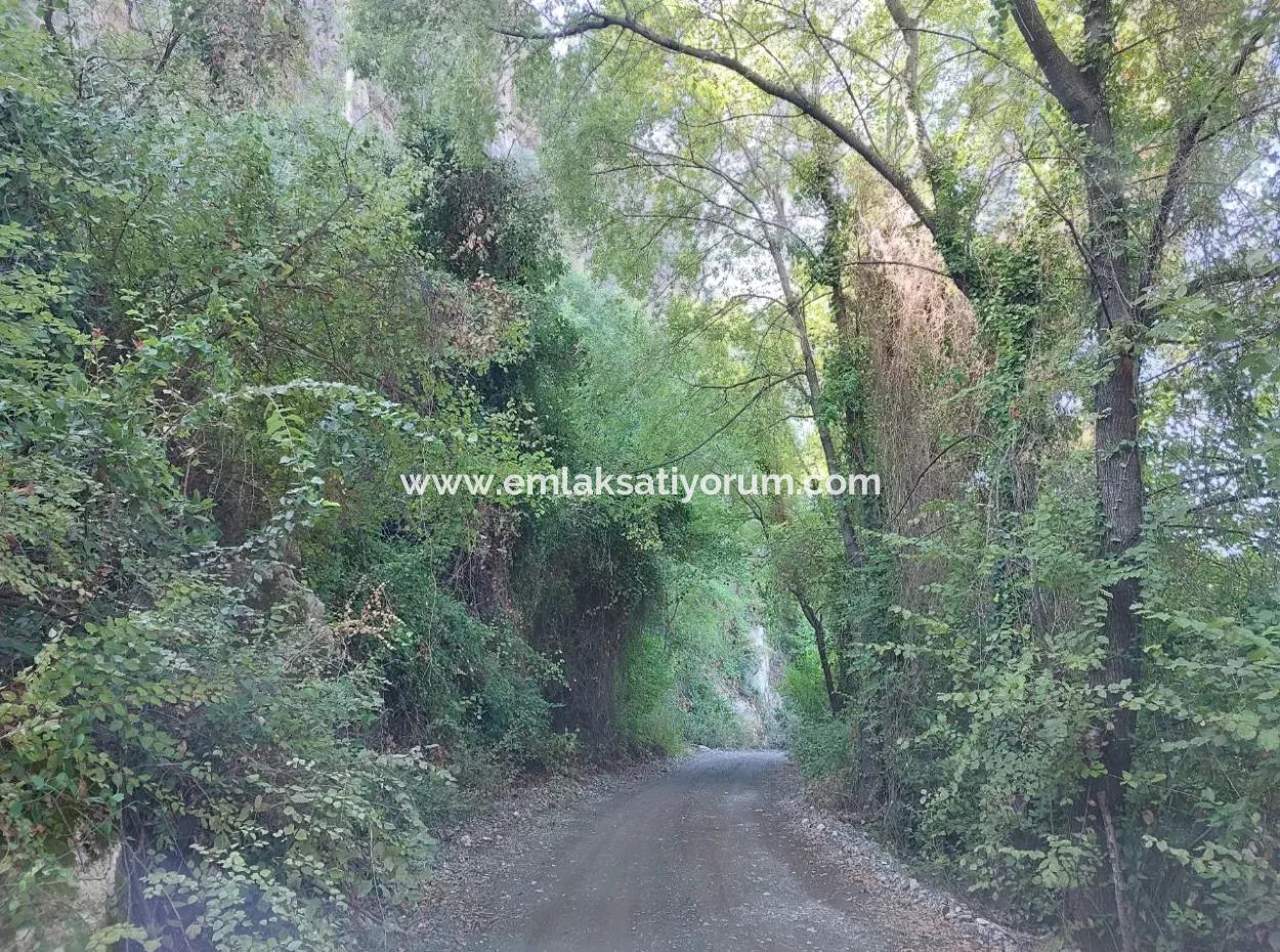 4.427 M2 Fertile Land With Mountain And Nature View In Ortaca Okçular For Sale