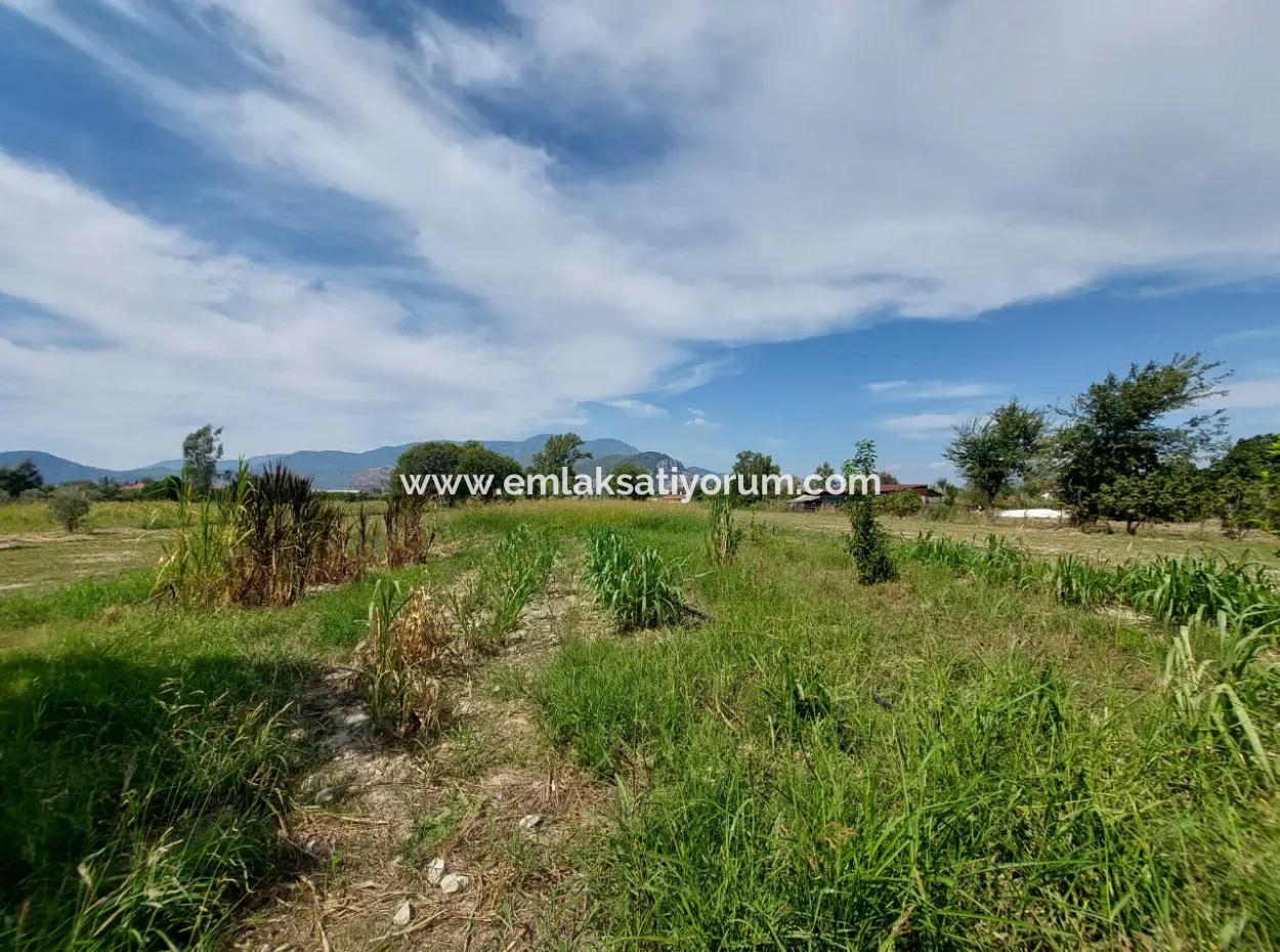 Mountainfront Fertile 1.680 M2 Land For Sale In Dalyan, Muğla
