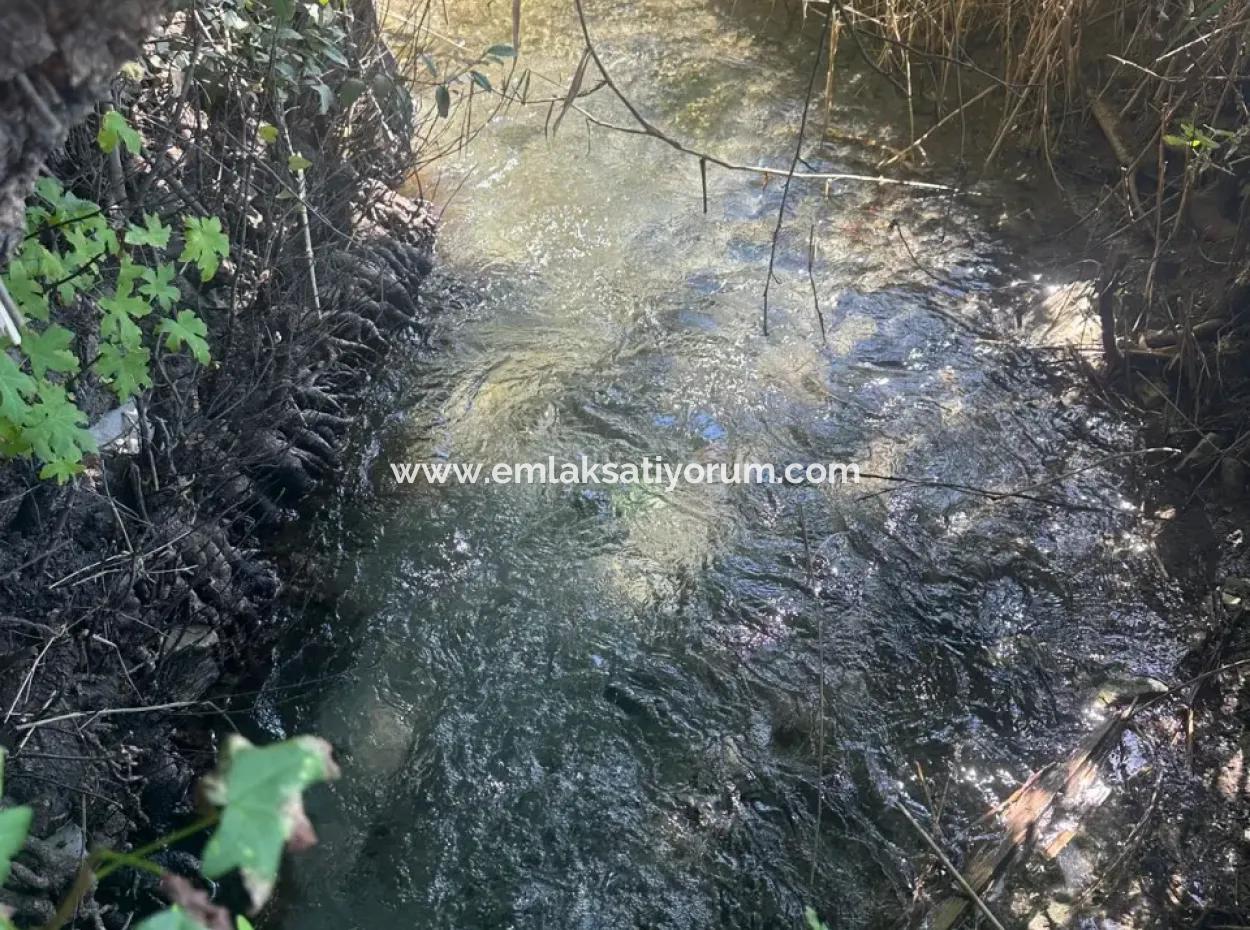 3073 M2 Field For Rent In Dalyan Marmarlı