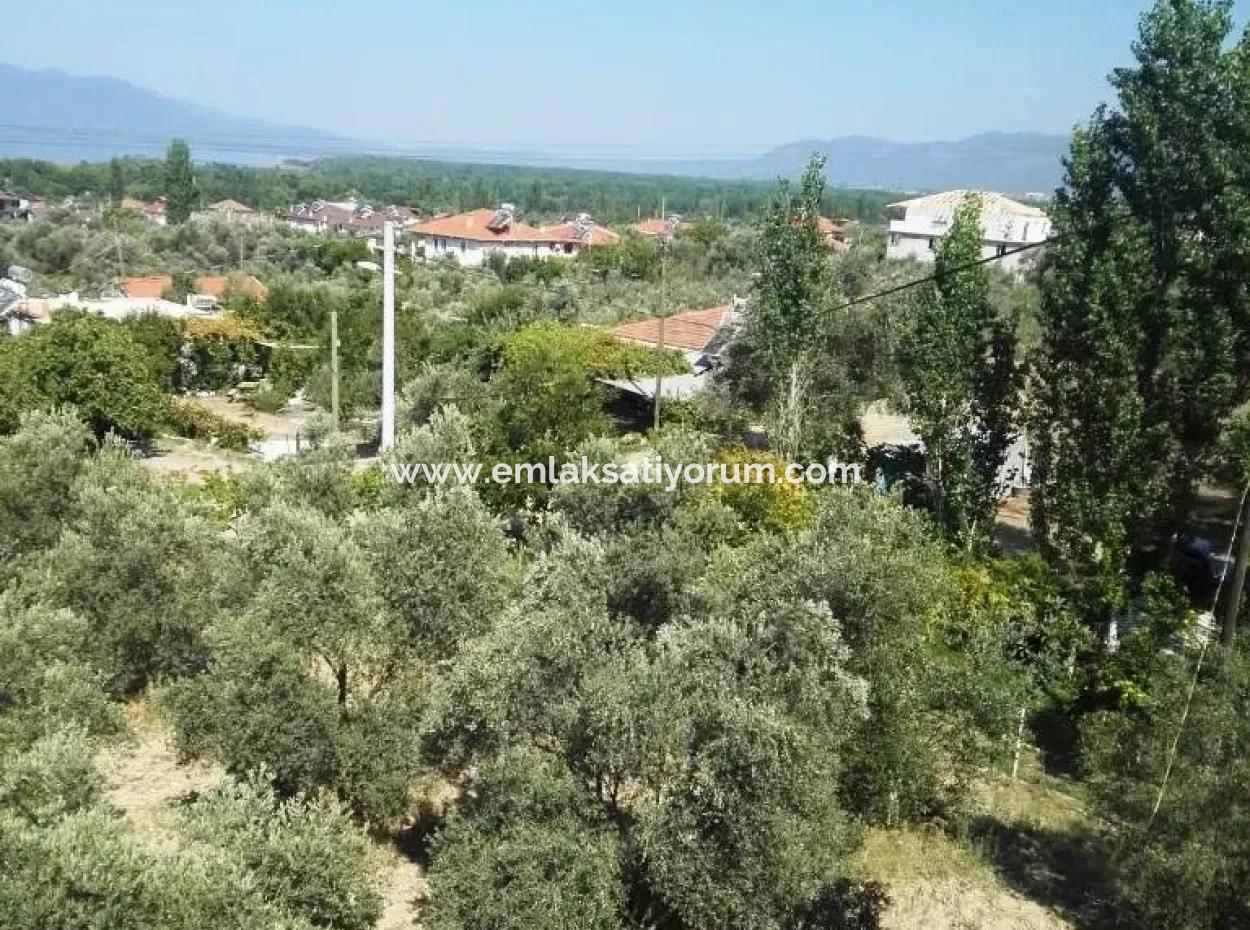 He Completed His Education At Koycegiz Lake View Home For Sale