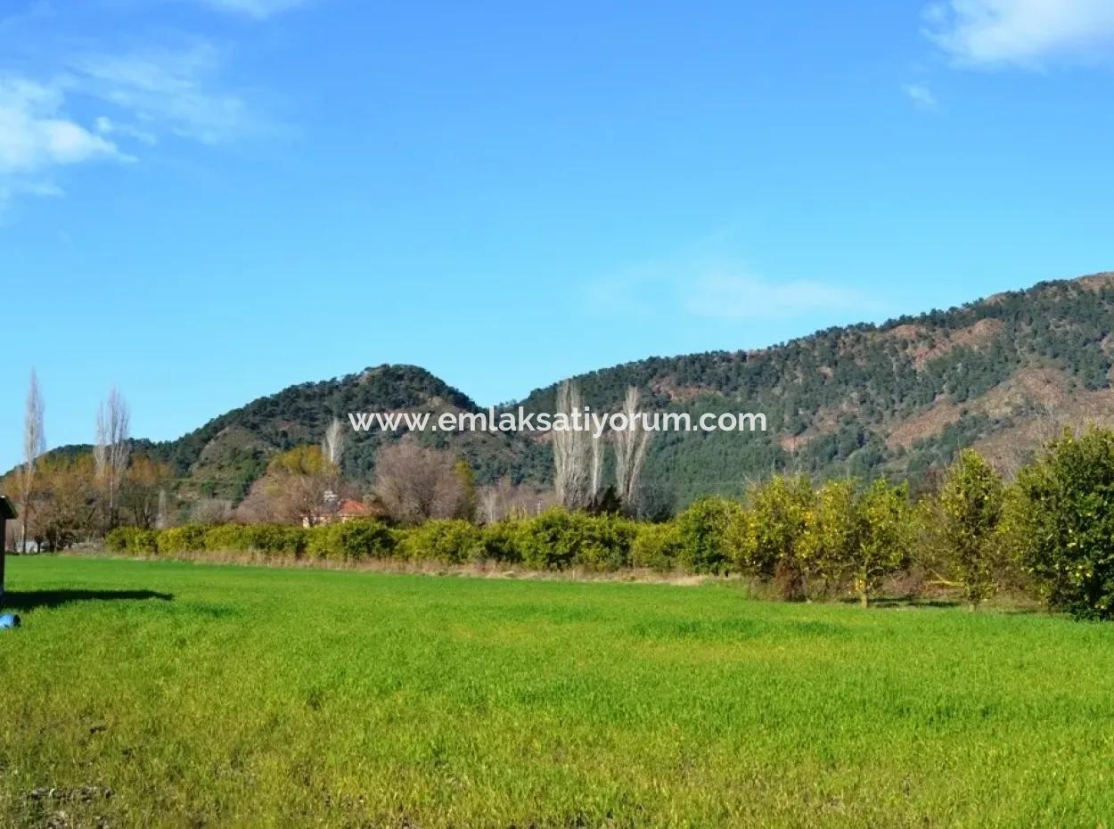 Plot For Sale Bargain Detached Archers Also