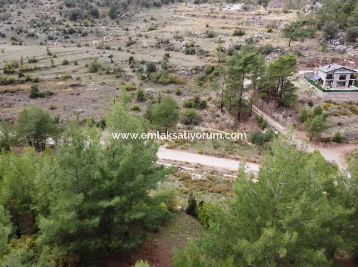 Fethiye Üzümlü Kızılbelde 7.000M2, 250M2 Land For Sale With Construction Rights Suitable For Investment