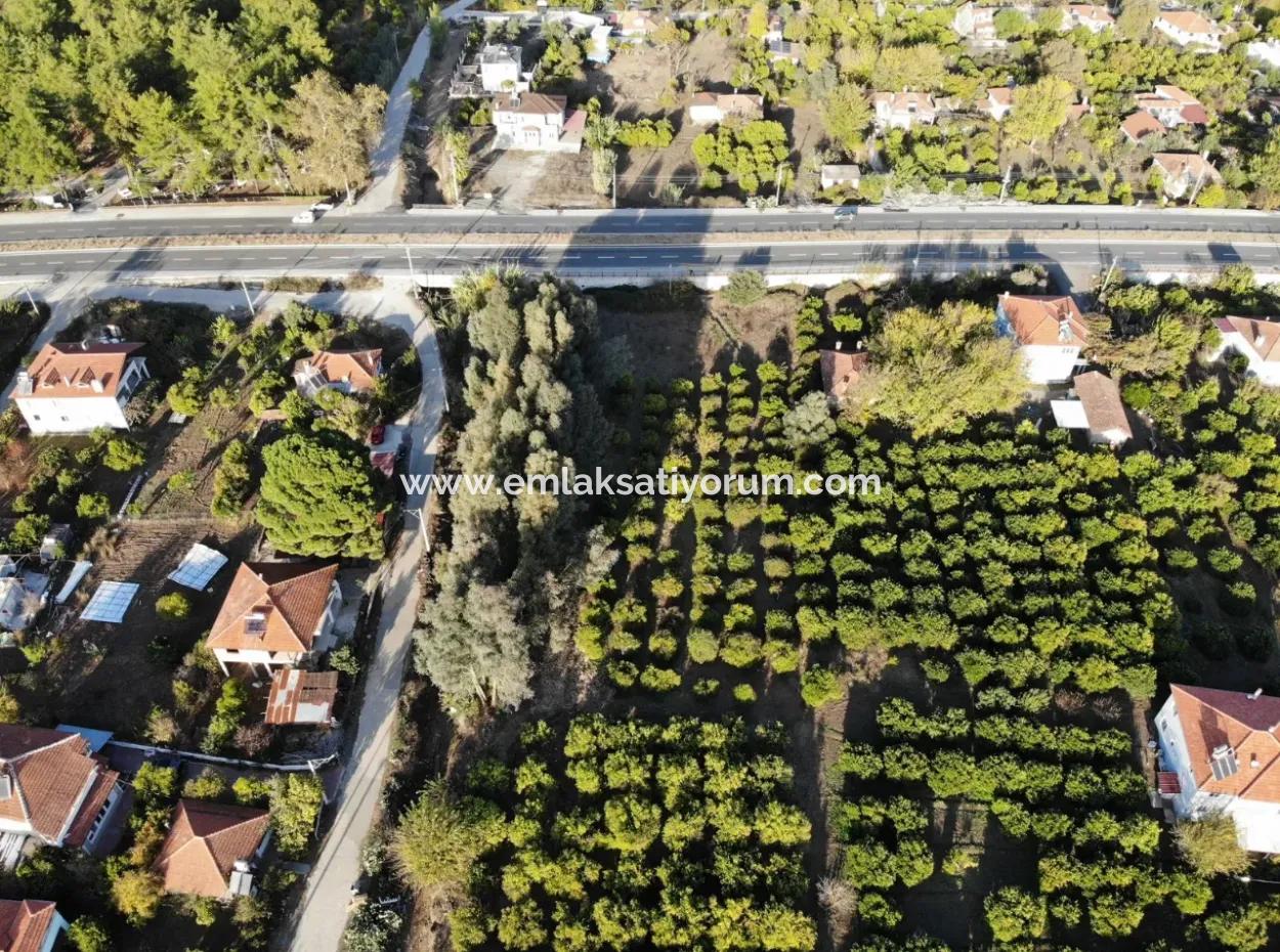 2.800 M² Commercial/Residential Zoned Land For Sale In Köyceğiz Toparlar Facing The Main Road