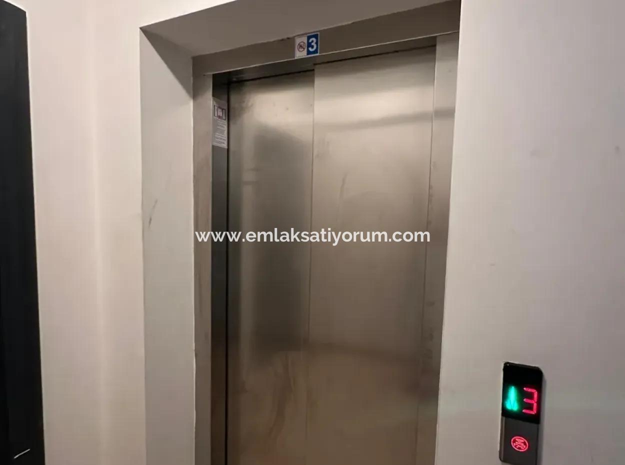 1 1 Brand New Apartment For Rent In Dalamanda